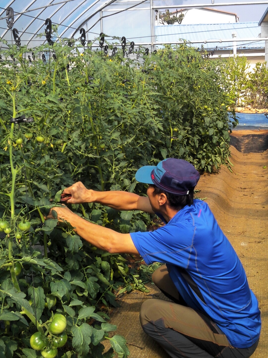 제조업 사장에서 농업인으로